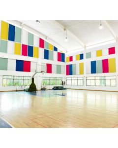 Sports hall acoustic panels