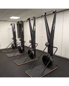 Storm Ski-Erg Trainer