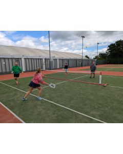 Pickleball post and net system