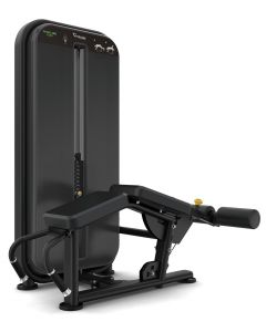 Vision Strength - Prone Leg Curl