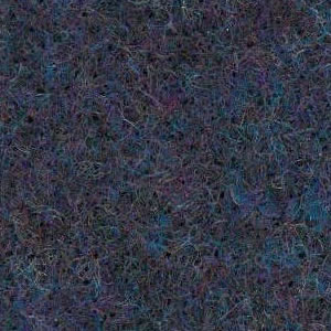 Blueberry carpet