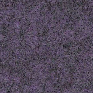 Violet carpet