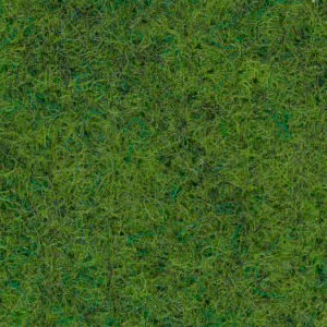 Willow carpet
