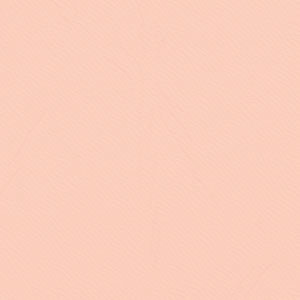 C23 - Salmon PVC