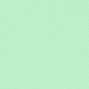 C27 - Mint PVC