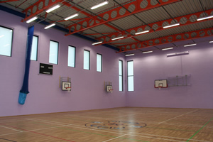 Sports hall walls in lilac
