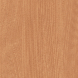 H1511 Bavarian Beech