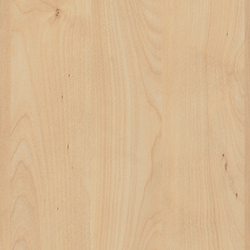 H3840 Natural Mandal Maple