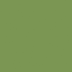 U626 Kiwi Green